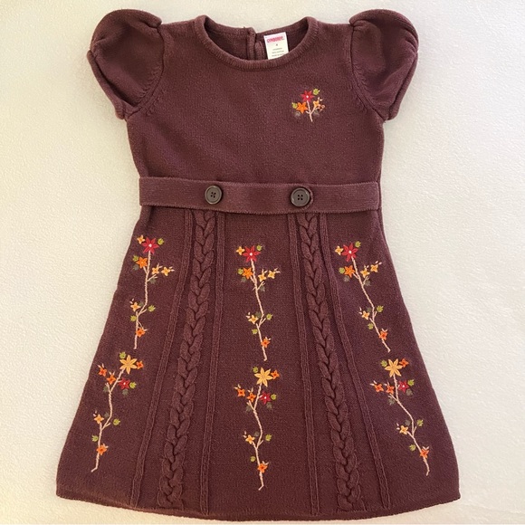 Gymboree Other - Gymboree Harvest Leaves Sweater Dress